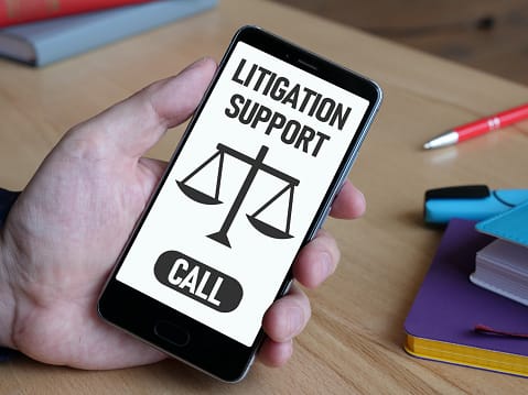 Litigation Support
